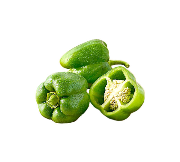 Capsicum Green