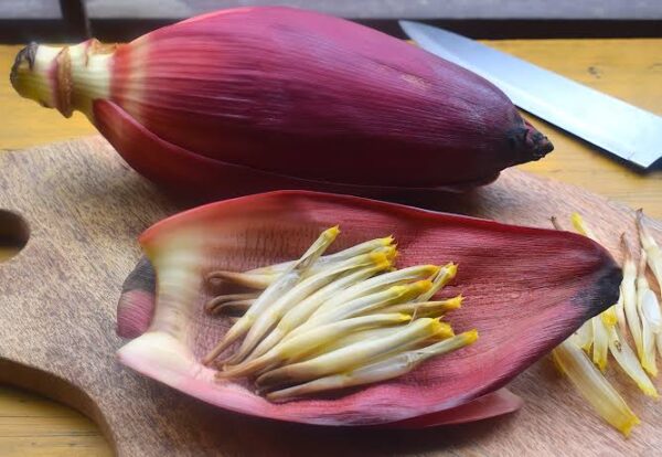 Banana Flower Cleaned & Chopped