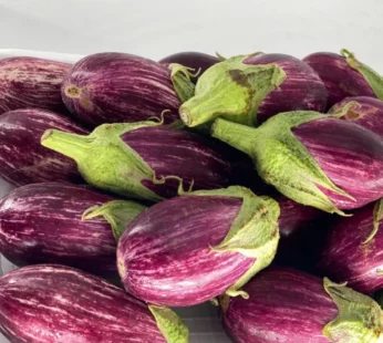 Brinjal