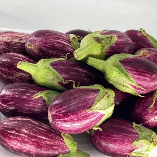 Brinjal