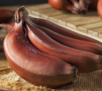 Red Banana