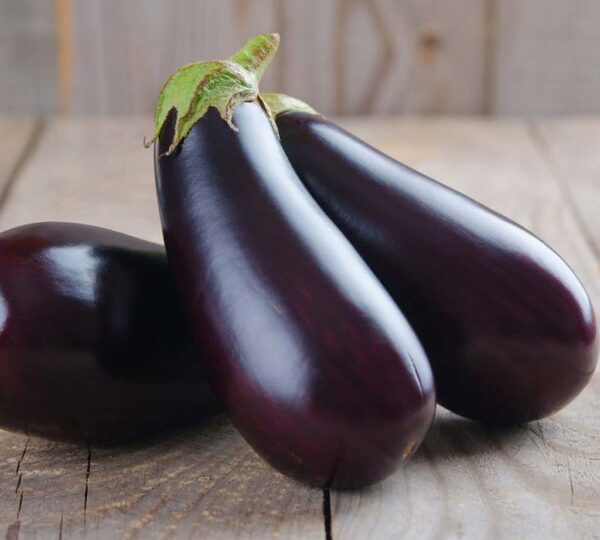 Egg plant